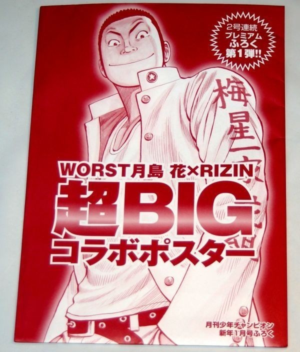 月刊少年チャンピオン付録 Worst月島花 Rizin超bigコラボポスター 付録のみ 少年チャンピオン 売買されたオークション情報 Yahooの商品情報をアーカイブ公開 オークファン Aucfan Com