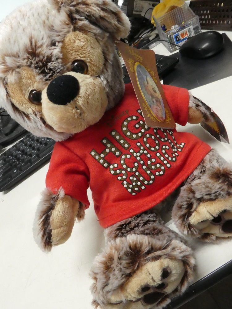 ハイスクールミュージカル　ダッフィー Duffy disney HIGH SCHOOL MUSICAL ぬいぐるみ ダッフィー ディズニー