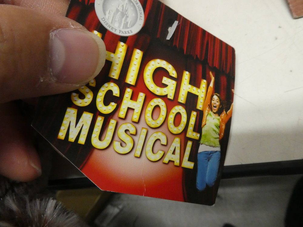 Duffy disney HIGH SCHOOL MUSICAL ぬいぐるみ ダッフィー ディズニー