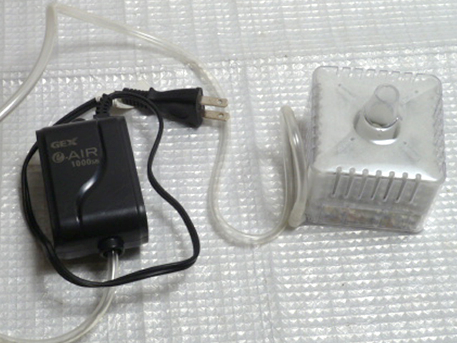 当店限定販売 Gex イーエアポンプ 1000sb X 3個 Www Anavara Com