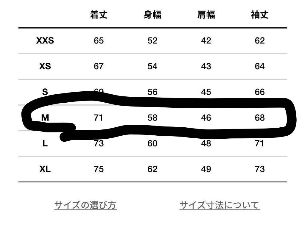 新品未使用 Mサイズ　NY ネイビー　THE NORTH FACE バルトロ ライト　　Baltro LIGHT JACKET ノースフェイス　ND91950_2