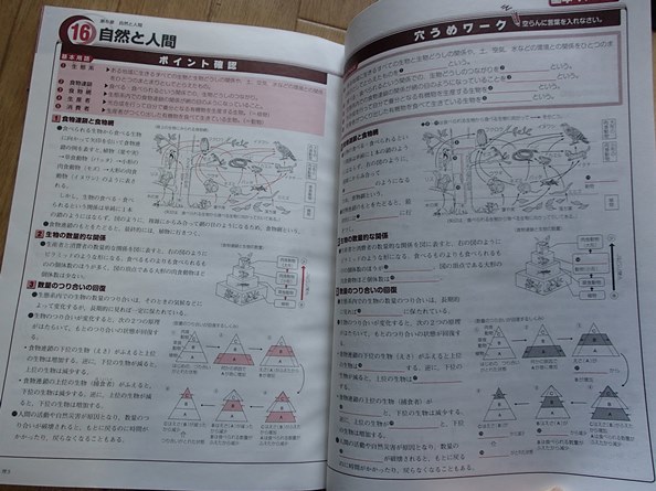 Almighty 教科書マスター 理科中3 標準版 問題集 解答 中学校 売買されたオークション情報 Yahooの商品情報をアーカイブ公開 オークファン Aucfan Com