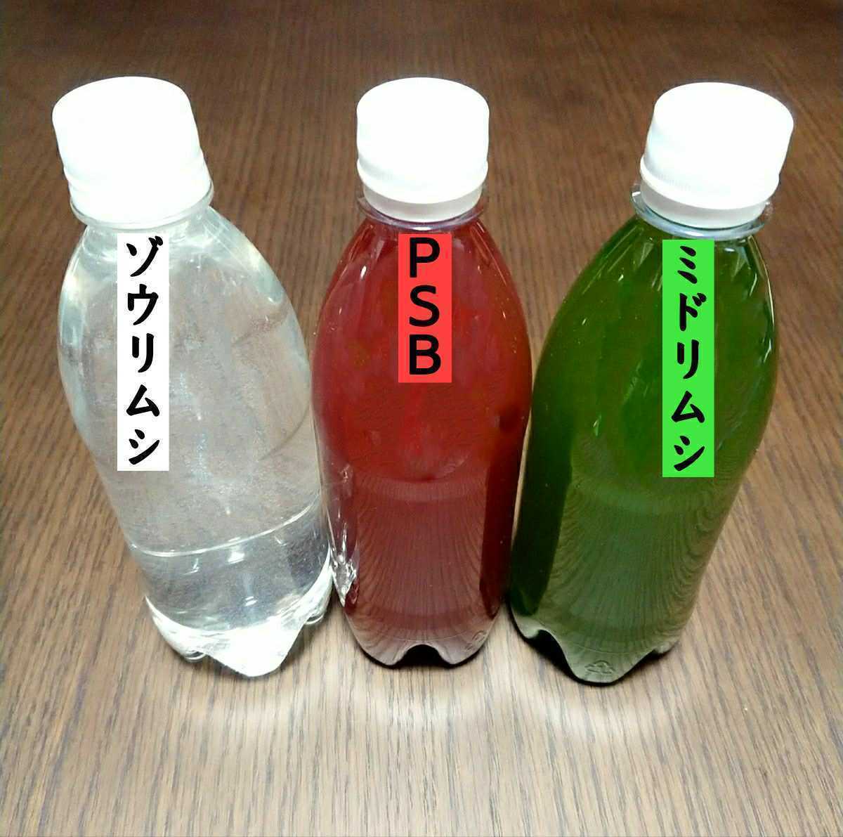 ミドリムシ ゾウリムシ 濃縮psb 光合成細菌 バクテリア 活き餌 ５００ml ３種類セット めだか 売買されたオークション情報 Yahooの商品情報をアーカイブ公開 オークファン Aucfan Com