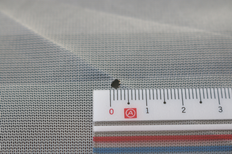 ★希少★テンマクデザイン ten-Mark パンダTC+ PANDA【超美品】_7