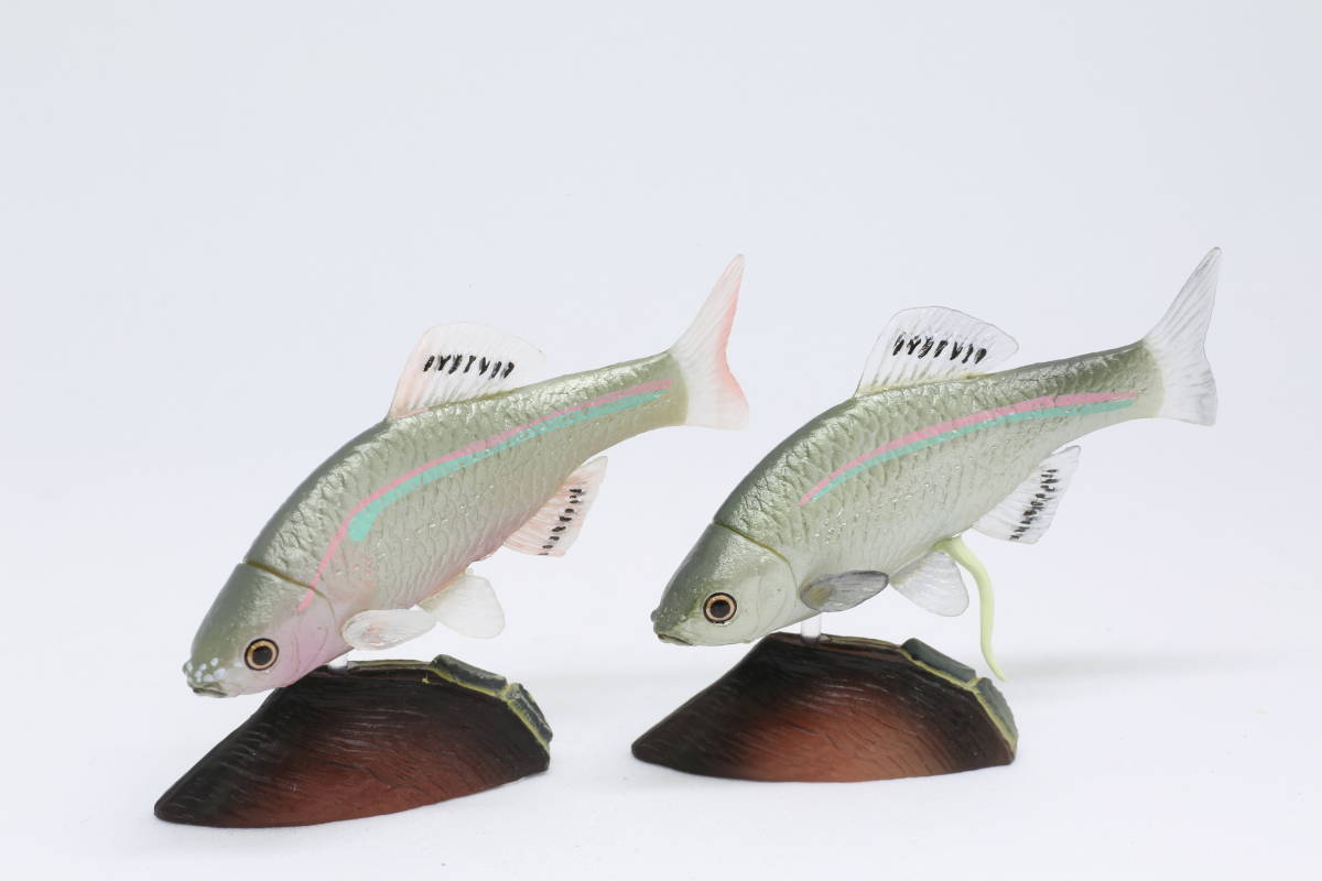 カプセルｑ 日本の動物 琵琶湖 イチモンジタナゴ 2個 生き物 売買されたオークション情報 Yahooの商品情報をアーカイブ公開 オークファン Aucfan Com