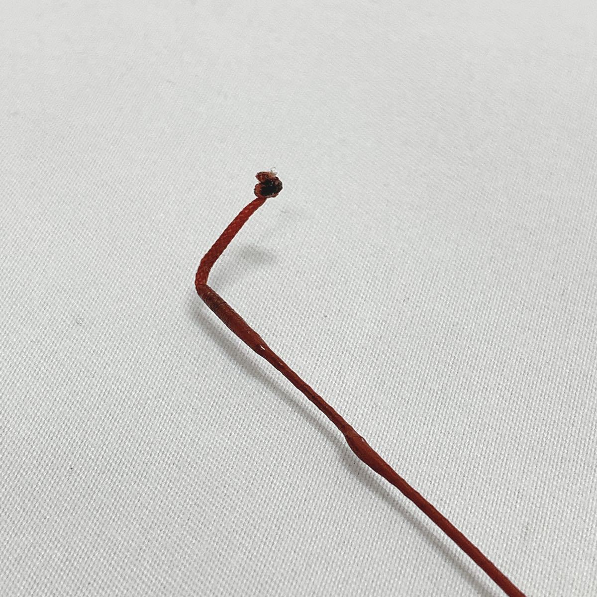 竹竿 竹製 和竿 釣竿 銘あり へら竿 ヘラ竿 長竿 R尼0127○_8