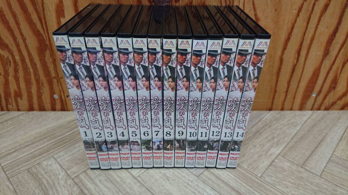 DVD 愛の嵐 1巻～14巻 全話 全14巻セット