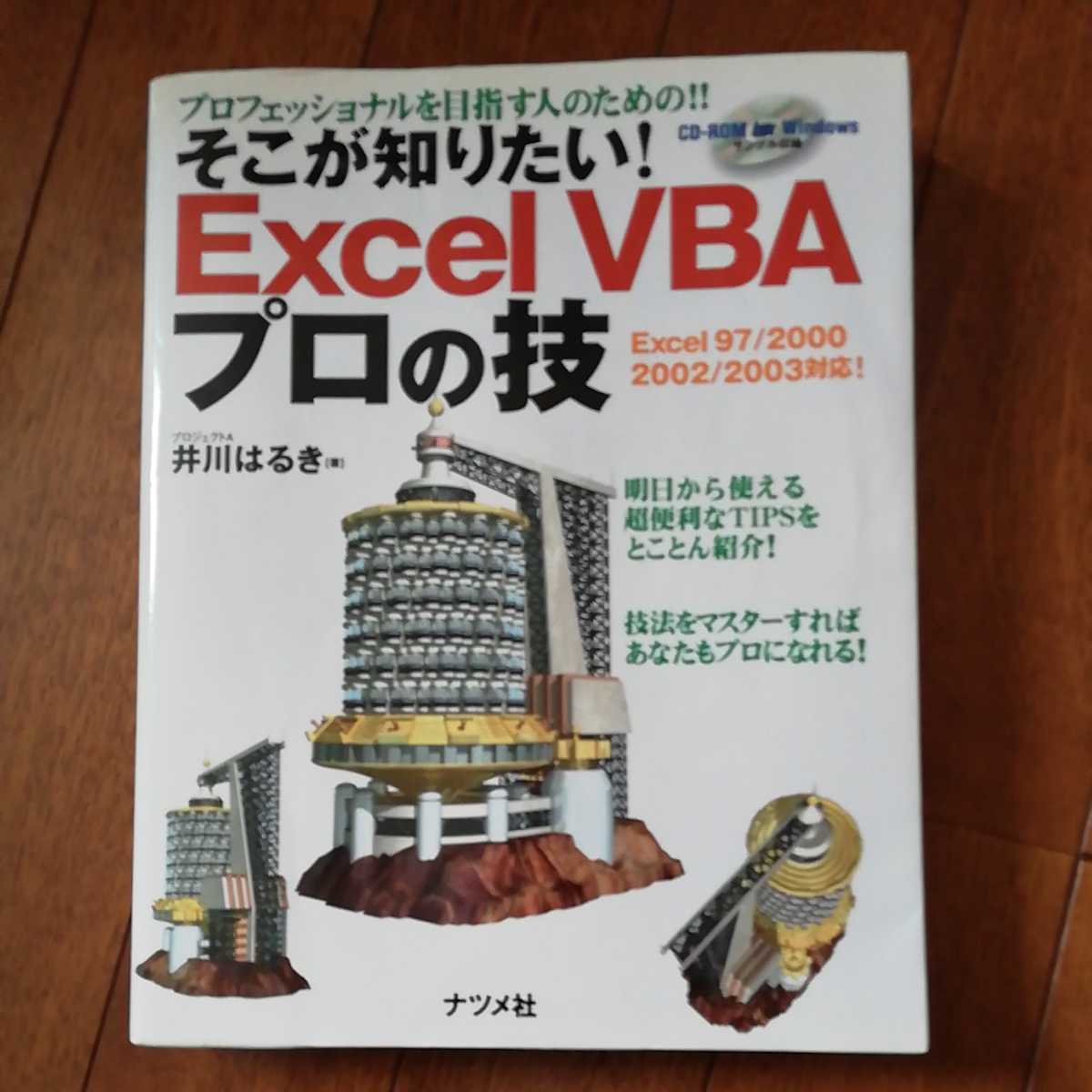 Excel そこが知りたい!Excel プロフェッショナルを目指す人のための 