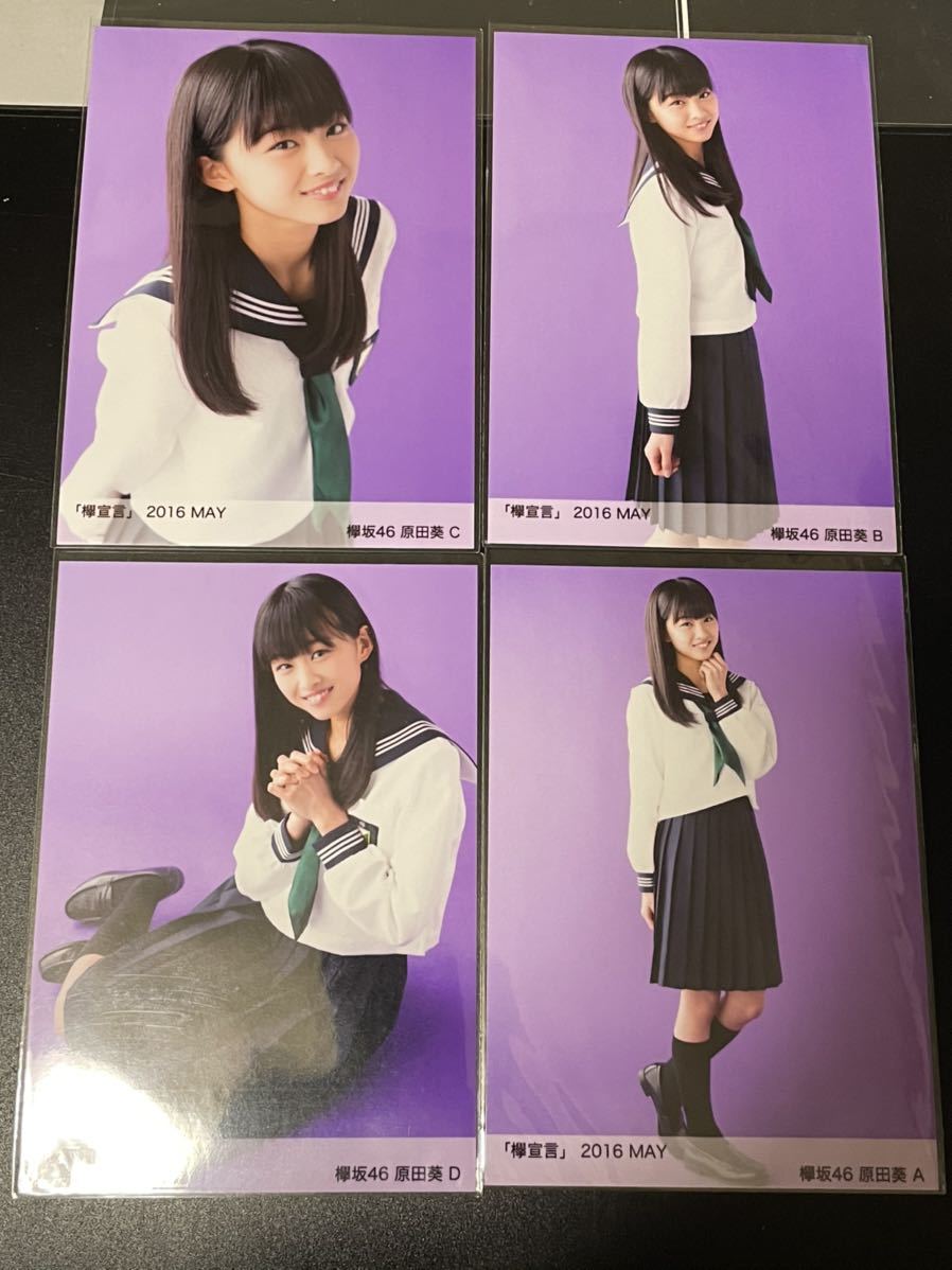 原田葵 欅坂46 櫻坂46 欅宣言 2016 MAY 5月 4種コンプ 生写真(乃木坂46 