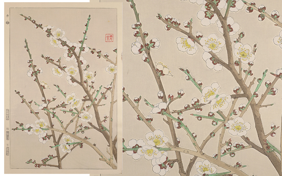 木版画 ∇花∇河原崎奨堂(清一)作 | 河原崎奨堂（18891973） 額装