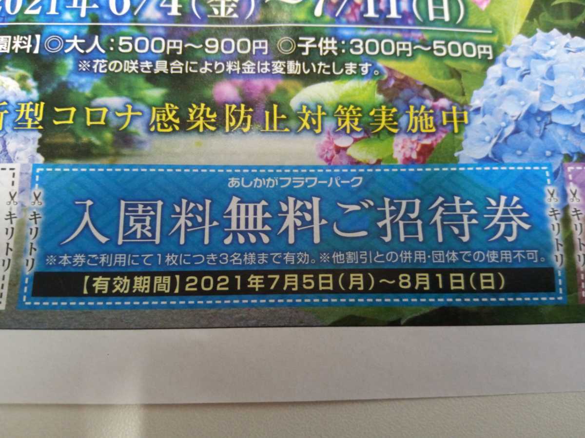 あしかがフラワーパーク 割引クーポン券付チラシ ３名ま 有効 有効期限 最長21年8月1日ま 足利フラワーパーク 施設利用券 売買されたオークション情報 Yahooの商品情報をアーカイブ公開 オークファン Aucfan Com
