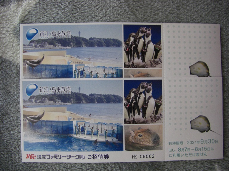 江ノ島水族館　２枚ー①_1