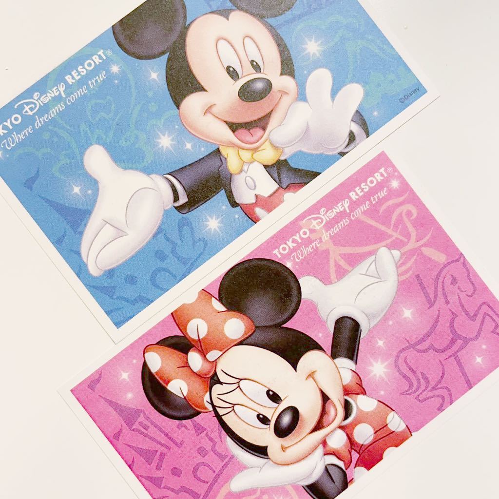 新品 2枚セット TDR TDL TDS 東京ディズニーリゾート スポンサーパスポート 大人 東京ディズニーランド ディズニーシー ミッキー ミニー