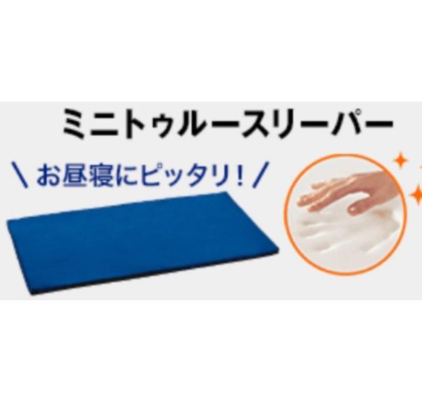 ごろ寝マット トゥルースリーパー ミニトゥルースリーパー 公式通販