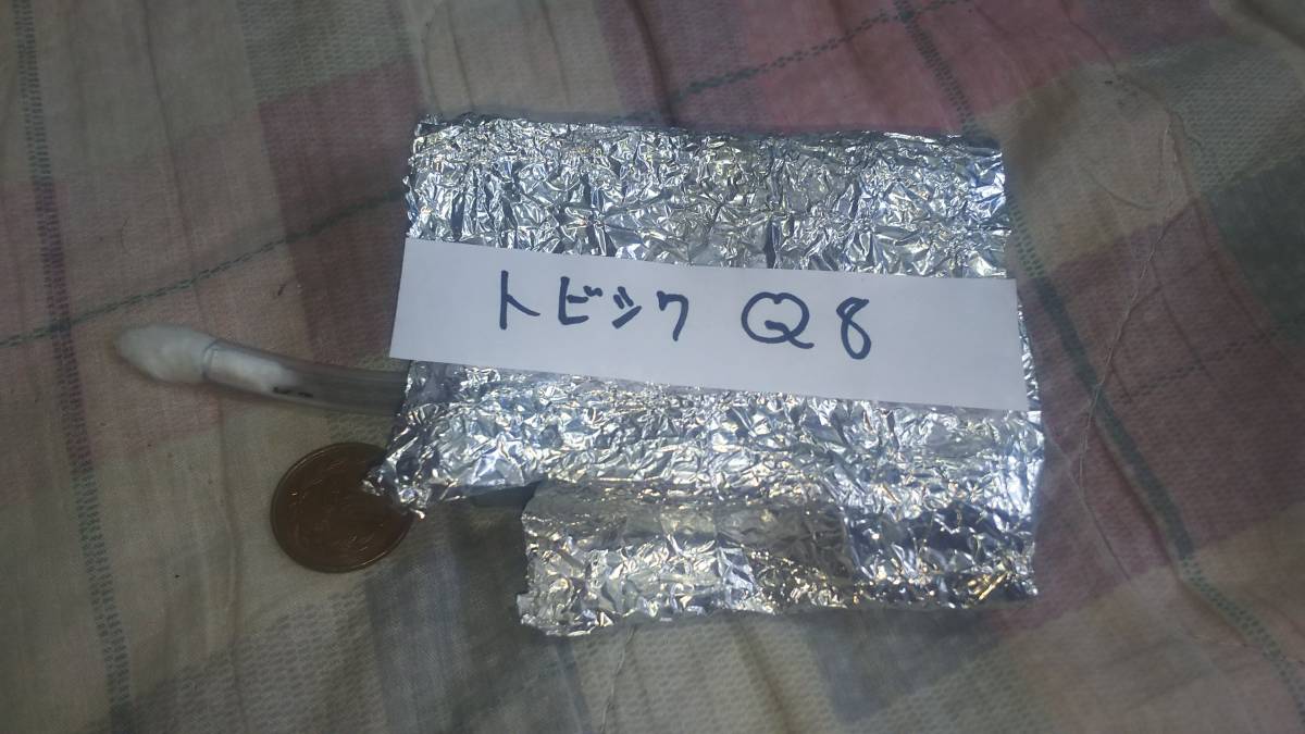 トビイロシワアリ女王8匹コロニー〈ライ巣〉_6