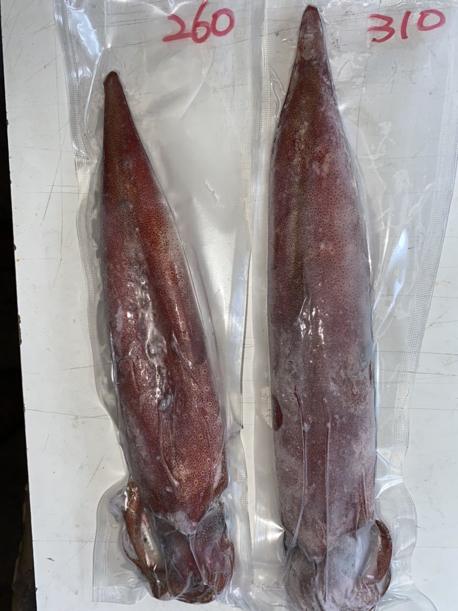 剣先イカ スルメイカ 姿冷凍 約3 6ｋｇ 長崎県対馬産 白いか 赤いか 真いか イカ 売買されたオークション情報 Yahooの商品情報をアーカイブ公開 オークファン Aucfan Com