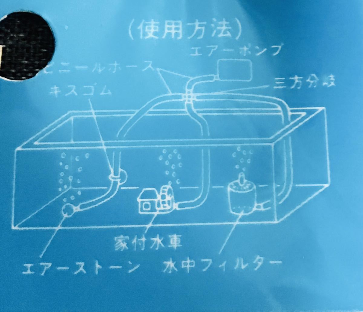 6個セット 水作用 プラストーン Gex ロカボーイ ニッソー ロカパル 底面フィルター にも使用可能 簡易式 エアーポンプ式 売買されたオークション情報 Yahooの商品情報をアーカイブ公開 オークファン Aucfan Com