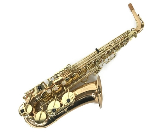 YANAGISAWA A-902 Special アルト サックス ヤナギサワ 管楽器 ジャンクS5747387