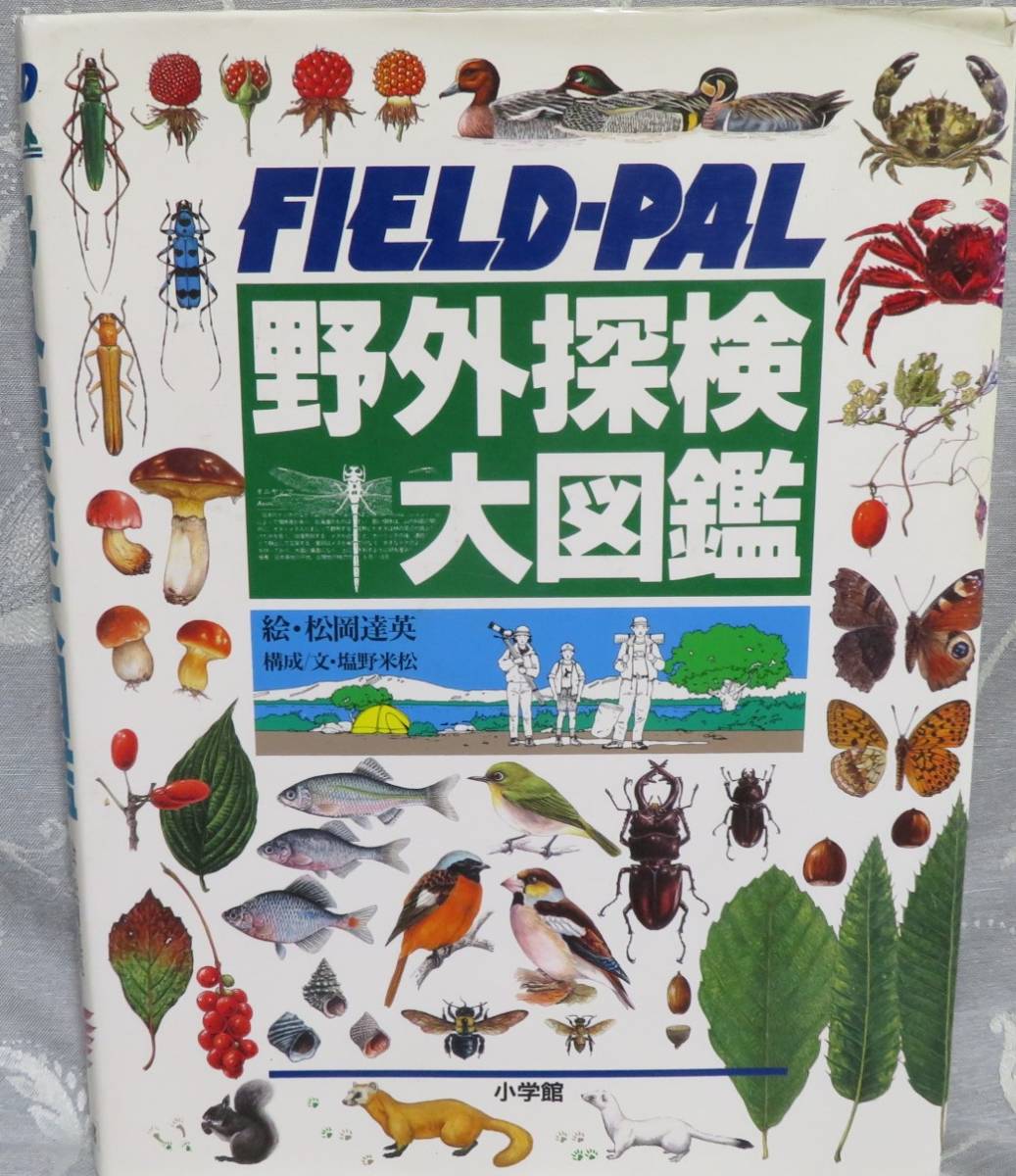 初版 Field Pal野外探検大図鑑 構成 文 塩野米松 絵 松岡達英 季節ごとの構成 検索しやすい 上手に遊べる 危険生物もわかる 図鑑 売買されたオークション情報 Yahooの商品情報をアーカイブ公開 オークファン Aucfan Com