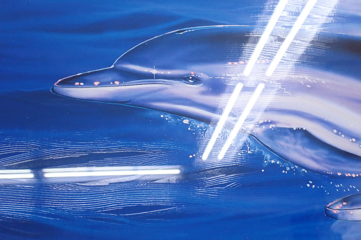 クリスチャン・リース・ラッセン作 Sea Flight