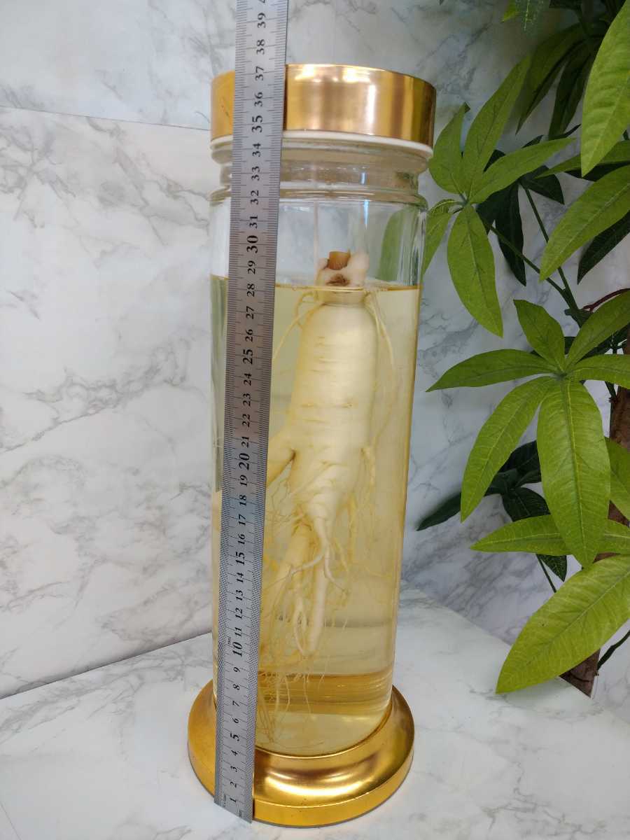 Bt 朝鮮人参 高麗人参 古酒 蔵出し 年代不明 高さ37cm 滋養強壮 健康長寿 養命 瓶漬け 1000 重さ3 5kg 他多数出品中 紹興酒 老酒 売買されたオークション情報 Yahooの商品情報をアーカイブ公開 オークファン Aucfan Com