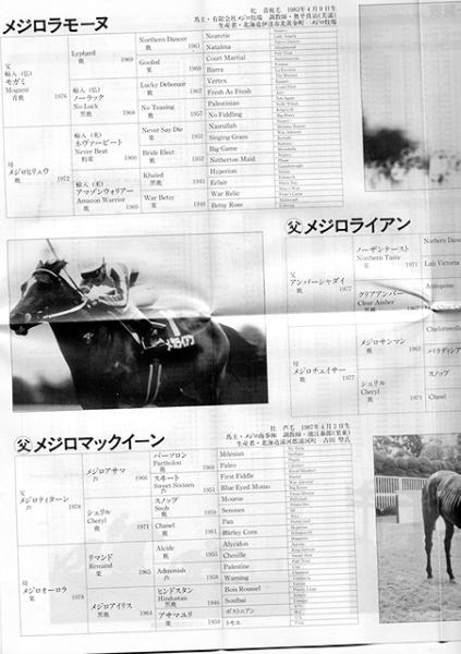 ◆ビデオ◆メジロ伝説◆アサマ/ティターン/マックイーンに続け◆_2