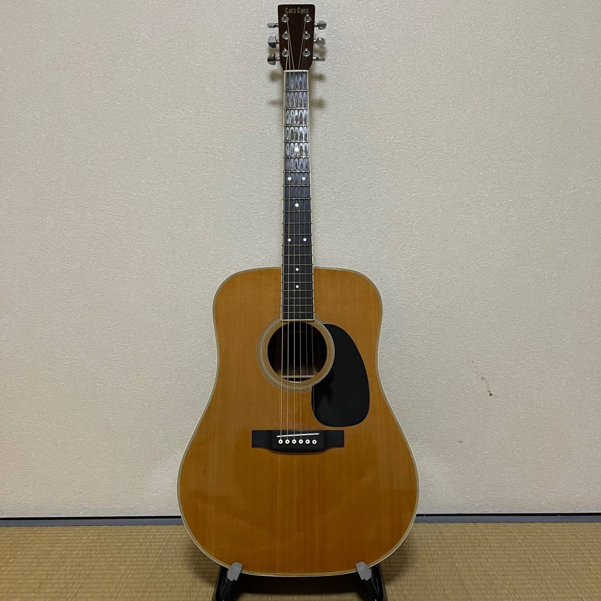 希少 TOKAI Cat