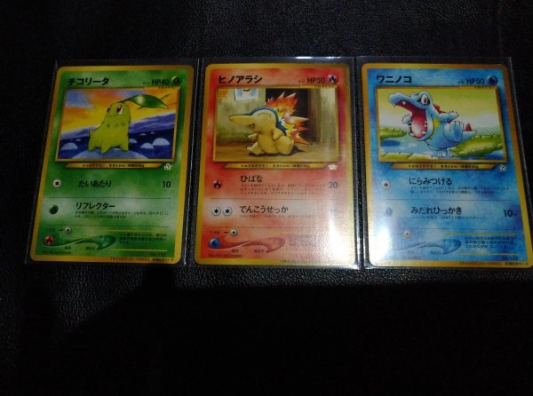 【低価，格安】 ポケモンカード 旧裏面 チャンピオンロード2000チコリータヒノアラシワニノコ(その他)｜売買されたオークション情報、yahooの商品情報をアーカイブ公開 - オークファン 【削除予定】その他