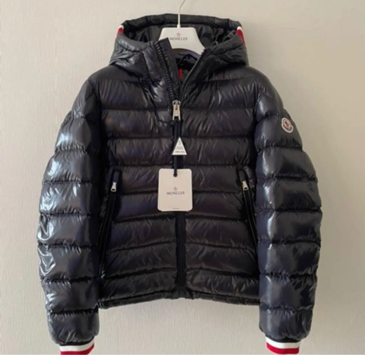 alberic moncler