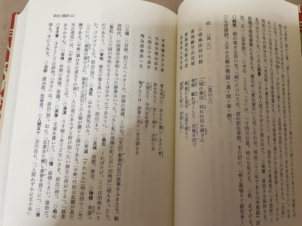漱石全集 岩波書店 - 夏目漱石全集28巻+別巻 全29巻セット 書籍 中古