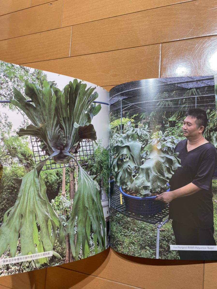 2025年3月 台湾 ビカクシダ育成・品種ガイド本 「鹿角蕨日記簿」新品未