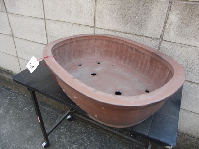 ♯115 鉢 賢山 盆器　盆栽　植木　松柏　皐月　真柏　楓