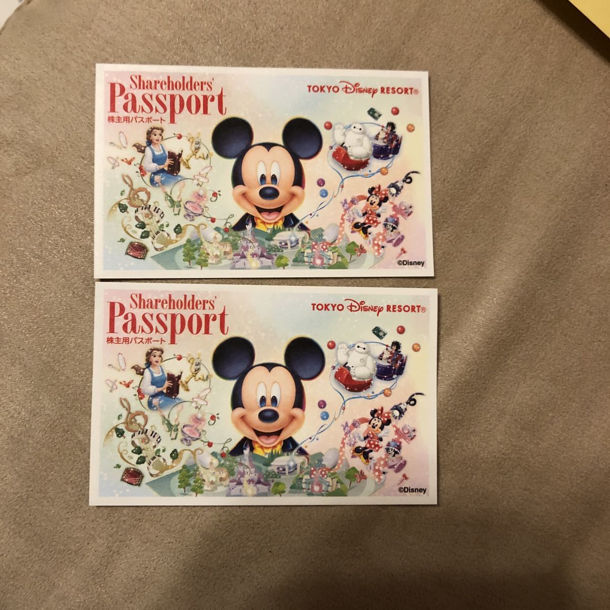 東京ディズニーランド 記念パスポート 東京ディズニーランド 記念パスポート 2枚セット ディズニーリゾート