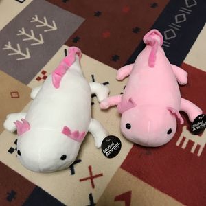 ヤフオク のおもちゃ ゲーム カルチャー ウーパールーパーの相場 価格を見る ヤフオク のウーパールーパーのオークションのおもちゃ ゲーム カルチャー売買情報は18件が掲載されています