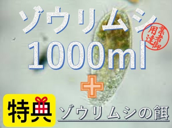 ゾウリムシ 1000ml エサ付き メダカ 稚魚 針子 めだか 活餌 エサ ミジンコpsb光合成細菌と同梱可 エビ ビーシュリンプ エサ 売買されたオークション情報 Yahooの商品情報をアーカイブ公開 オークファン Aucfan Com ゾウリムシ 1000ml エサ付き メダカ 稚魚 針子 めだか 活餌 エサ ミジンコpsb光合成細菌と同梱可 エビ ビーシュリンプ エサ 売買されたオークション情報 Yahooの商品情報をアーカイブ公開 オークファン Aucfan Com