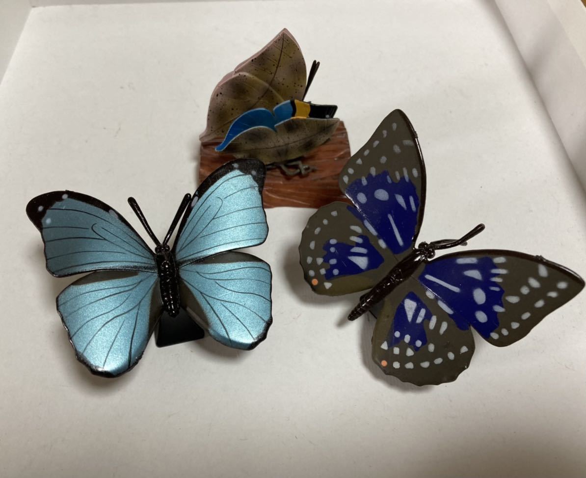 昆虫フィギュア 蝶 蝶々 チョウチョ メネラウスモルフォ オオムラサキ コノハチョウ D 生き物 売買されたオークション情報 Yahooの商品情報をアーカイブ公開 オークファン Aucfan Com