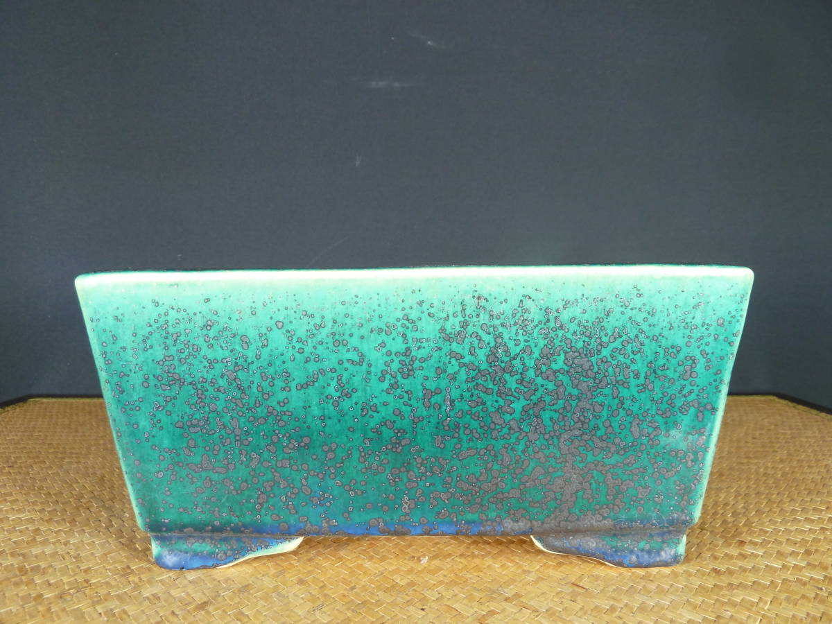 ◇盆栽幸◇松泉山秋ー内縁浮彫楕円鉢◇和鉢◇