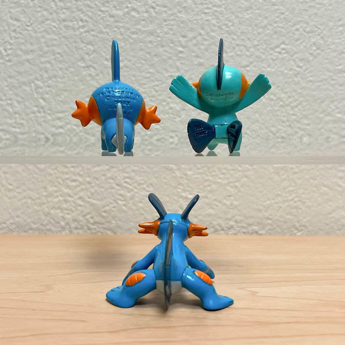 ミズゴロウ ヌマクロー ラグラージ 3体セット ポケモン モンコレ