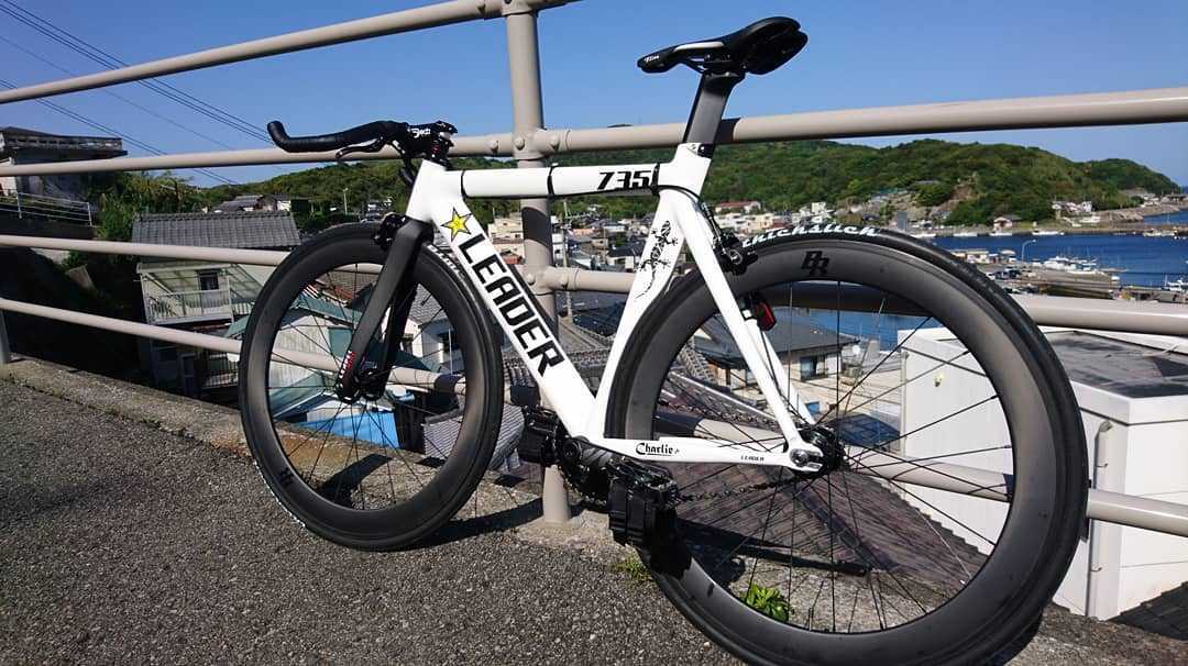 LEADER BIKES(リーダーバイク) 735TR フレームMサイズ グロスホワイト