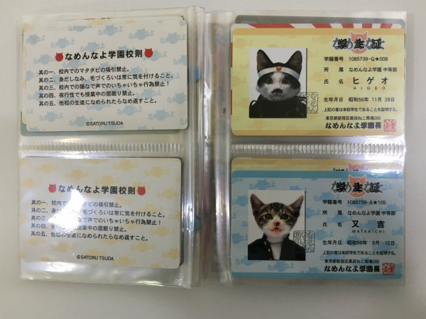 カード セット 検索： なめんなよ なめ猫 なめねこ 運転免許証 なめん 