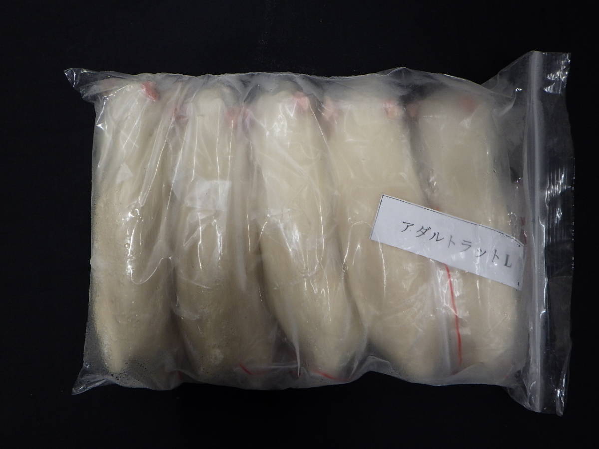 | 冷凍ラット、アダルトラット（Lサイズ）5匹ラット（L）1袋 冷凍ラット L 5匹入 月夜野ファームの通販 国産冷凍ラット 60サイズ 最短当日 株価上昇 冷凍餌 冷凍ラットくん 5匹) g 0 公式通販