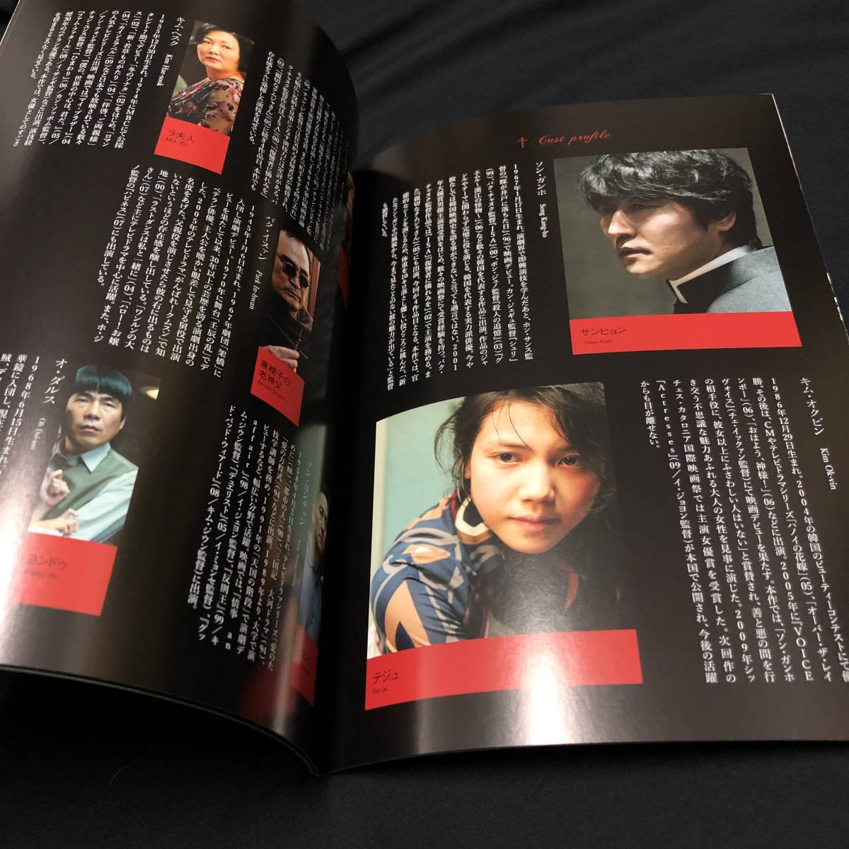 B5判プレスパンフレット 渇き ソン ガンホ キム オクビン パク チャヌク監督 韓国映画 パンフレット 売買されたオークション情報 Yahooの商品情報をアーカイブ公開 オークファン Aucfan Com
