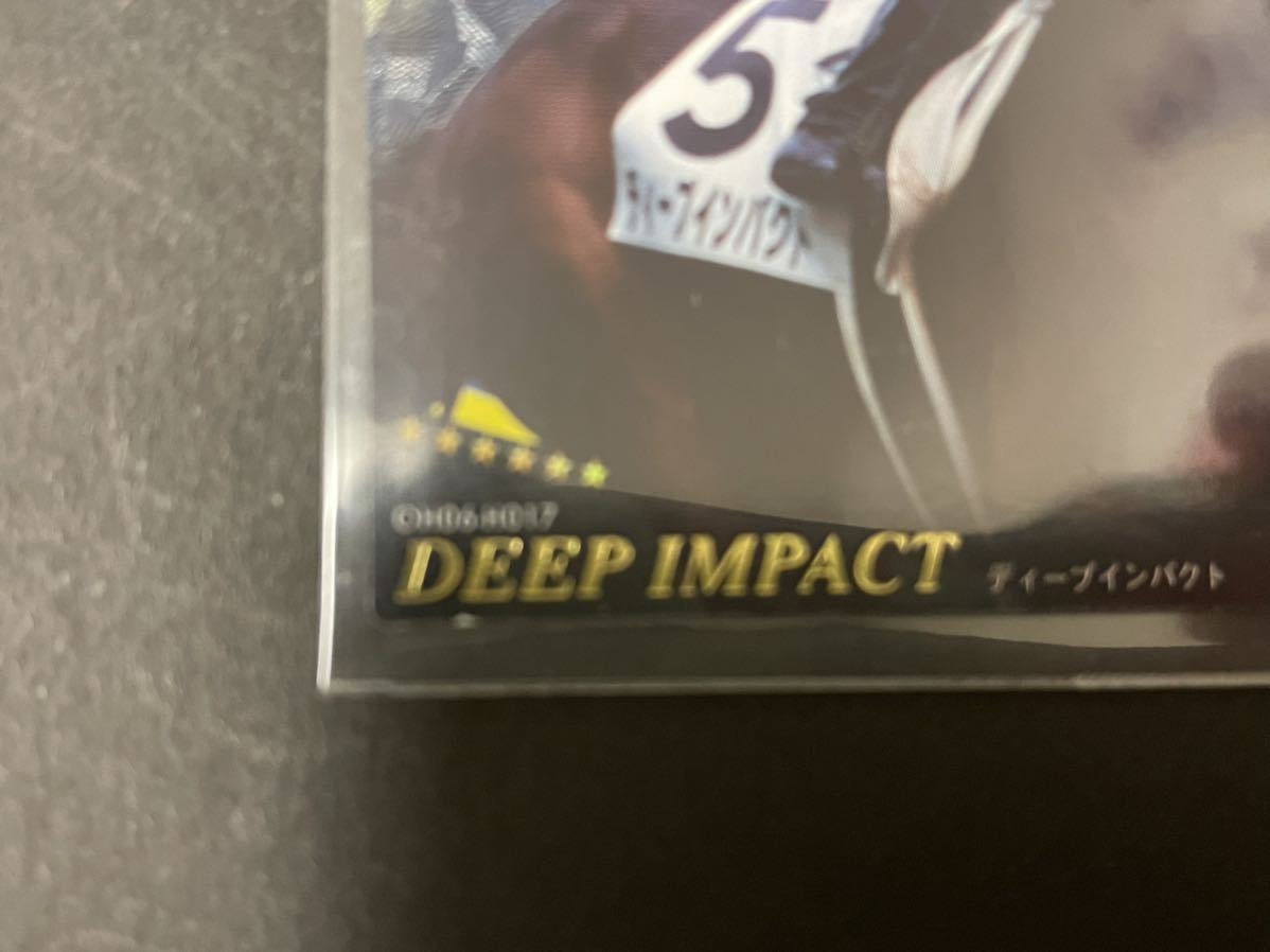 オーナーズホースディープインパクトナリタブライアン