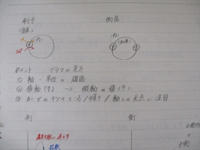 駿台 生物 : メルカリ 冬期 - WH04-005 トリプルミラクル講義参考書 締切 朝霞先生 東大 Z会 鉄緑会 河合塾 テキスト・講義問題の参考書・板書 例年同様『生物☆トリプルミラクル』『共通