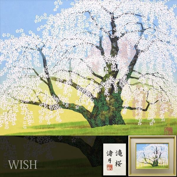 真作】【WISH】原滄月「滝桜」日本画 6号 金落款 金泥仕様 共シール