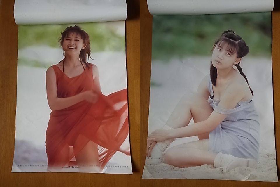 カレンダー 田村英里子 1991 B2サイズ(芸能人、タレント)｜売買された