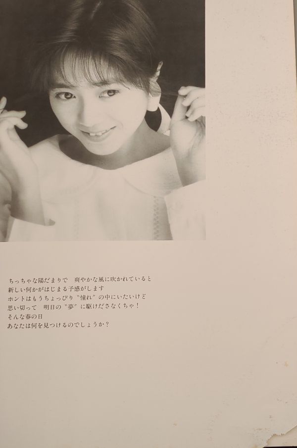 吉田真里子 FIRST CONCERT ファースト コンサート パンフレット