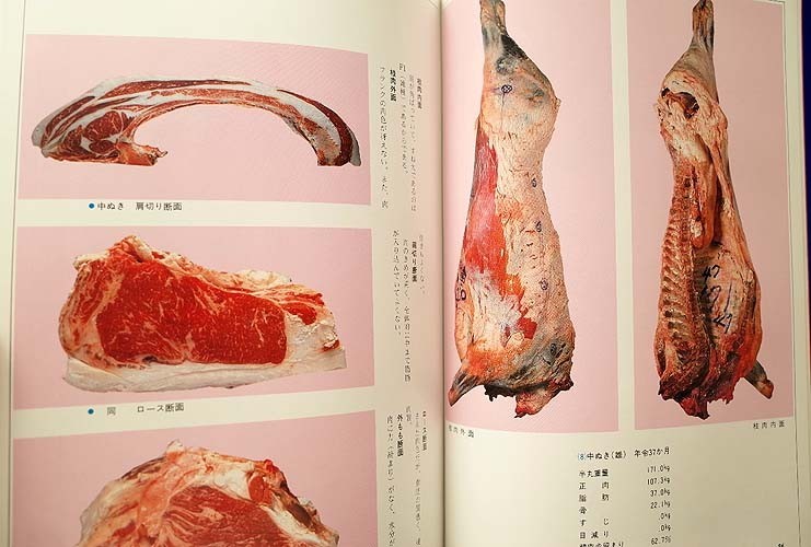 牛肉(森安常義 著) ⁄ 古本、中古本、古書籍の通販は「日本の古本屋