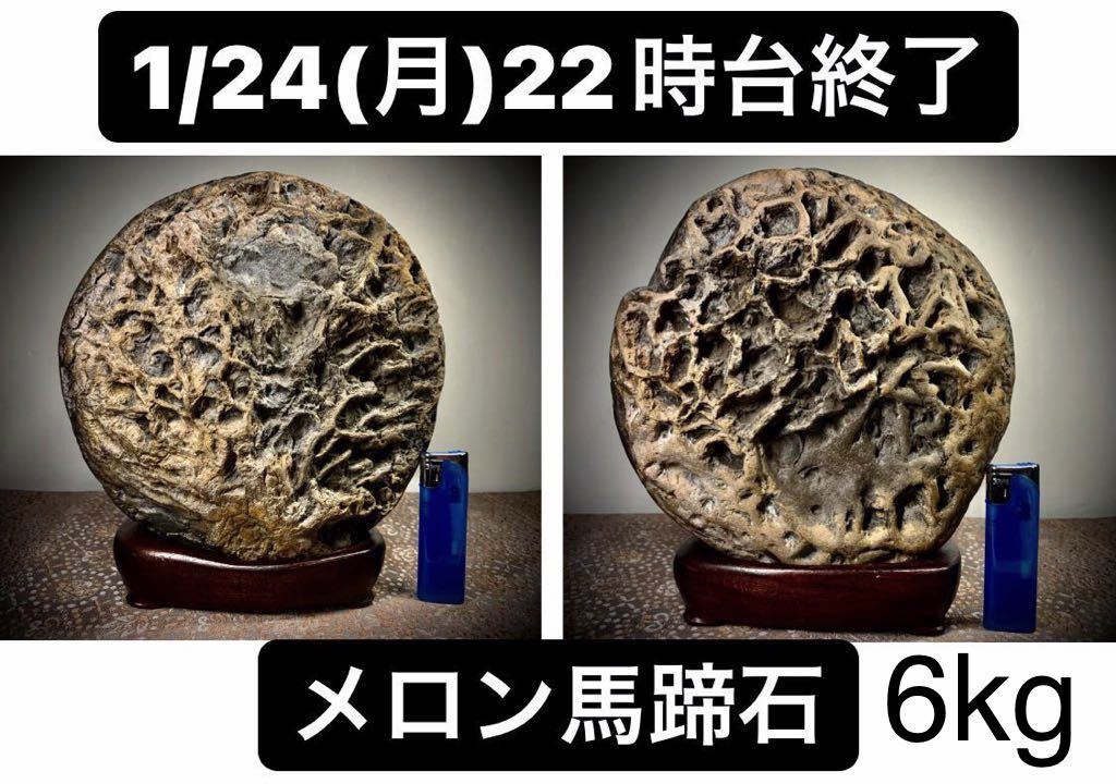 初売企画》水石 盆栽 骨董 メロン馬蹄石 横20×高23×