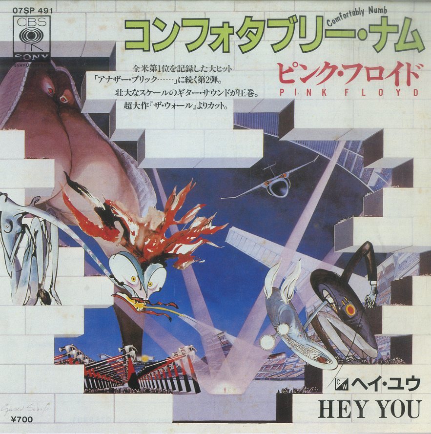 Pink - Floyd Home : 日本のピンク・フロイドのプレス盤 r⁄vinyl